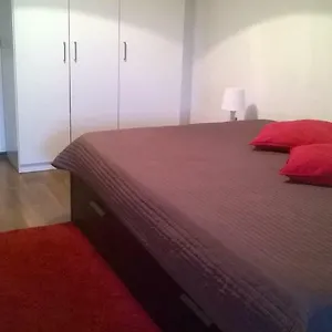 Alexander Apartament